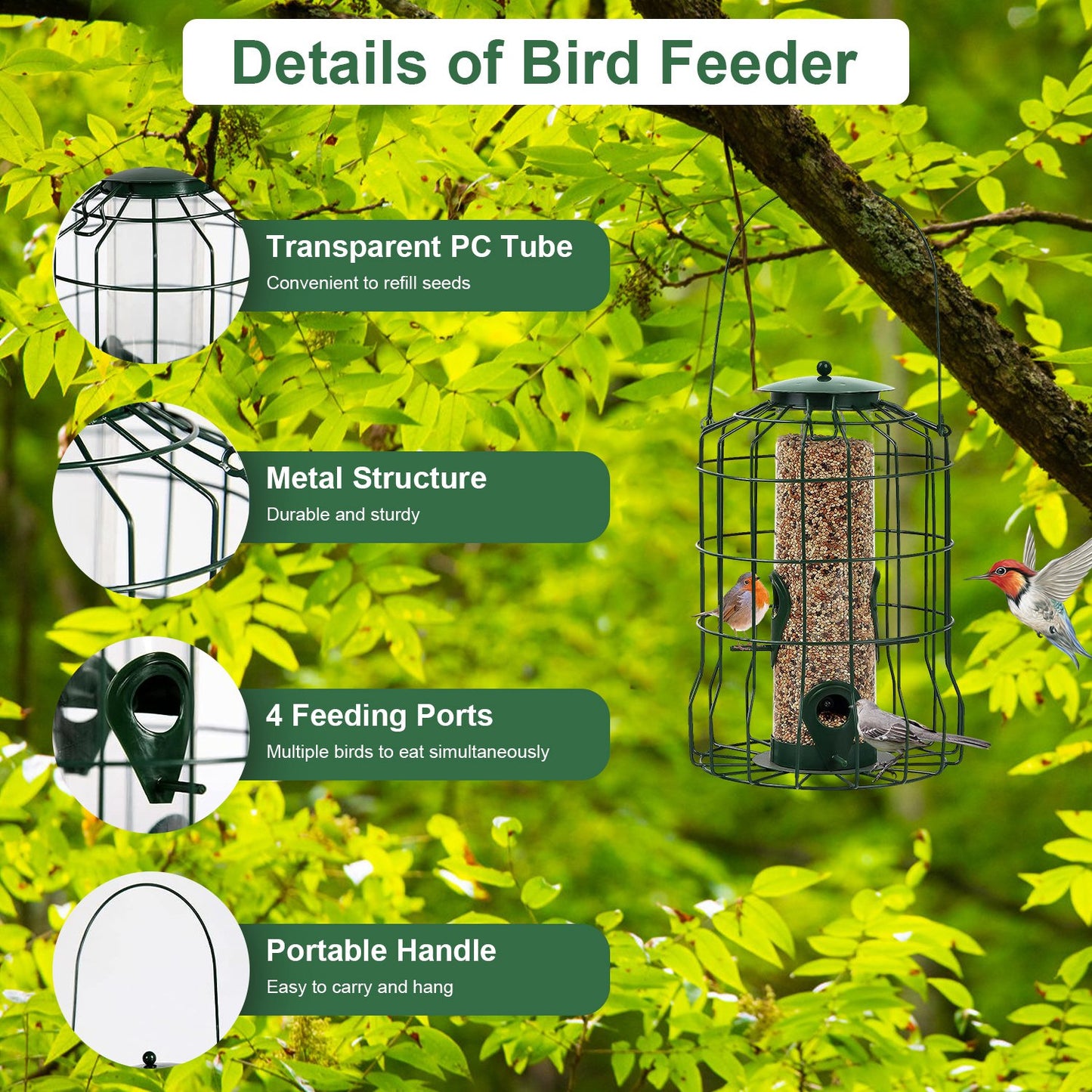 24b1f445403f60aa82d0594c9e4838bd