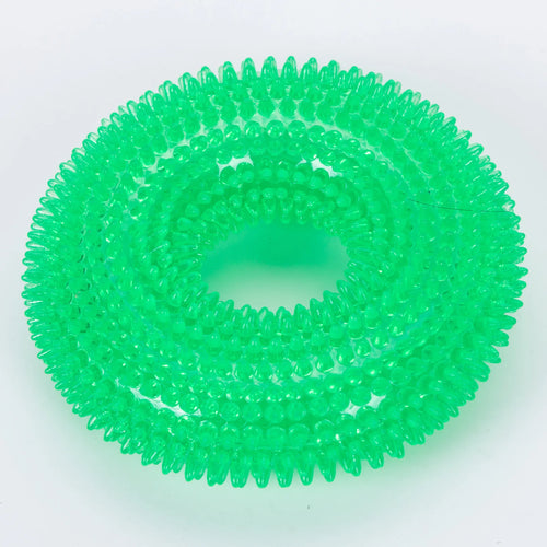 Textured Squeaky Ring Dog Chew Toy