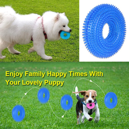 Textured Squeaky Ring Dog Chew Toy