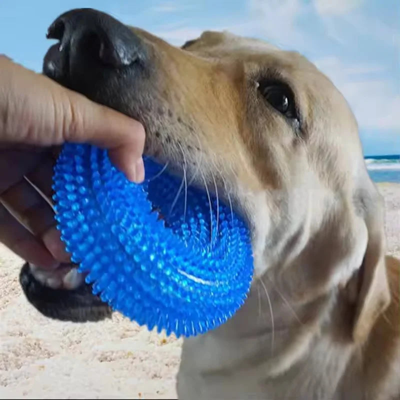 Textured Squeaky Ring Dog Chew Toy