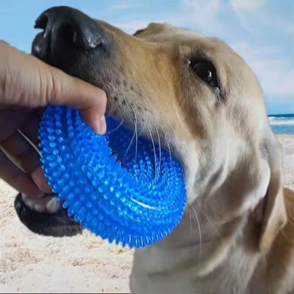 Textured Squeaky Ring Dog Chew Toy