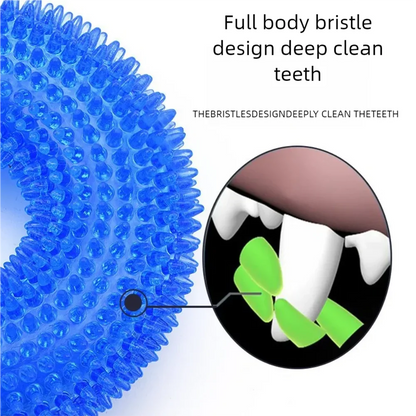 Textured Squeaky Ring Dog Chew Toy