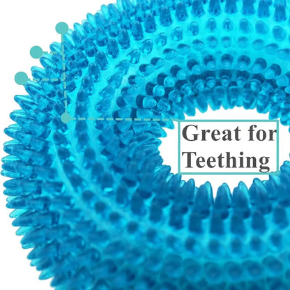Textured Squeaky Ring Dog Chew Toy