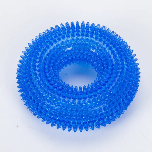 Textured Squeaky Ring Dog Chew Toy
