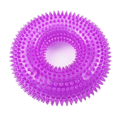 Textured Squeaky Ring Dog Chew Toy