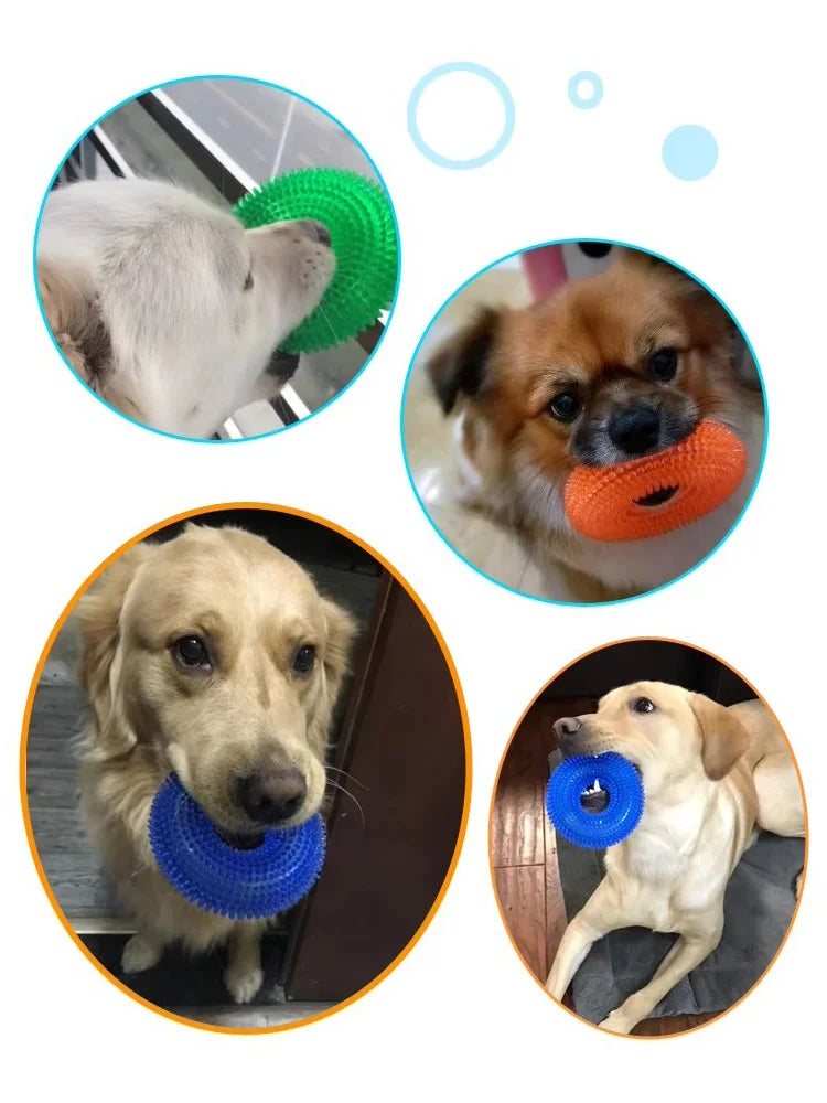 Textured Squeaky Ring Dog Chew Toy